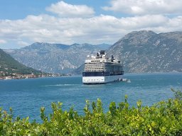 19247773_227948771057721_6714663643165057017_n